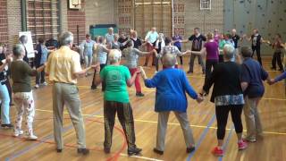 GARSONA Greek Circle Dance   Ira Weisburd   Hengelo Netherlands 2016