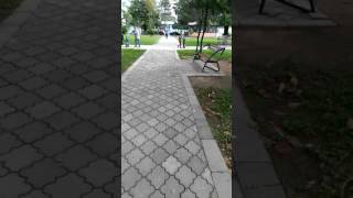 "გოჩა და ხვიჩას" შეხვედრა