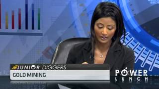 Focus On Junior Gold Miners