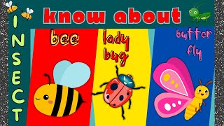 Exploring Amazing Insects | Educational Video for Kids | Insect Vocabulary