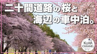 【 北海道 車中泊旅 】桜を見に有名な場所へと！その後は気ままな海辺の車中泊を楽しみました(^^)