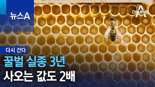 [다시 간다]꿀벌 실종 3년…사오는 값도 2배 | 뉴스A