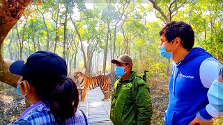 THE SUNDARBANS, BANGLADESH. LARGEST MANGROVE FOREST IN THE WORLD , KARAMJOL (করমজল) TOUR.