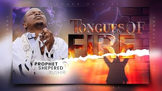 TONGUES OF FIRE MIDNIGHT PRAYERS ||DELIVERANCE FROM SETBACKS || PROPHET SHEPHERD BUSHIRI 10/11/2022