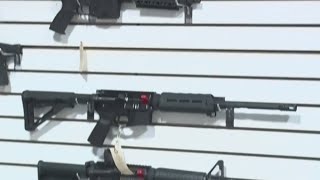 'Second Amendment Summer': DeSantis proposes gun tax holiday as part of budget proposal