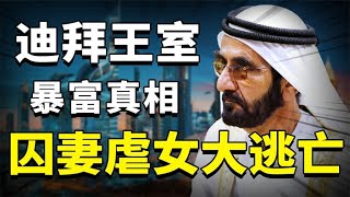 揭秘真实迪拜：土豪之国85%是穷人，王室成员纷纷冒死大逃亡！~解读人类迷惑行为【爆撕事务局】