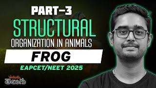 Frog One Shot | Structural Organization | NEET 2025 | EAMCET 2025 | Ajay Kumar Sir