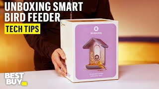 Unboxing the Bird Buddy Smart Feeder with Solar Roof – Tech Tips from Best Buy