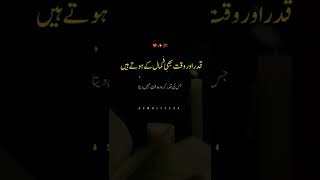 Qadar Aur Waqt | Urdu Quotes | Beautiful Urdu Lines ✨ | Tiktok Status