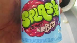 Splash Blast Wild Berry Flavored Water