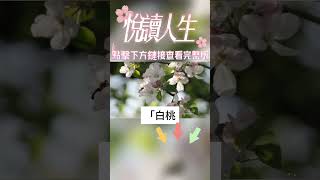 婆婆50大寿当天，嫂子相中我10万翡翠手镯，我不肯1万卖她老公打我，婆婆拍桌让老公休掉我，我冷笑一招让他们跪地求饶……#情感故事#為人處世#生活經驗 #退休生活 #老年生活 #养老#孝顺 #子女不孝