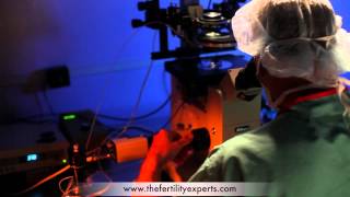 ICSI Procedure - IVF (Intracytoplasmic Sperm Injection)