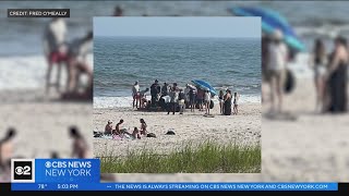 More shark attacks reported on Long Island