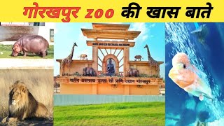 गोरखपुर चिड़ियाघर जाने से पहले ये वीडियो जरूर देखे....||#gorakhpurzoo#gorakhpurchidiyaghar||