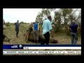 Rhino poaching in North West