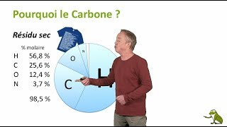 Pourquoi le carbone ?