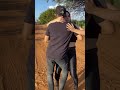 Casal Dançando - Tara Louca (Pisadinha do Vaqueiro) #shorts #piseiro #pisadinha