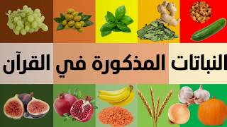 الفواكه + الخضروات + الأشجار + الحبوب + النباتات المذكورة في القرآن الكريم