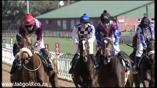 20150718 Greyville Race 3 won by  CELTIC CAPTAIN