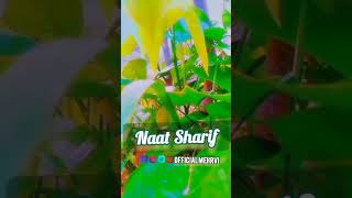 Deewano Ka Nara Ali Ali - Syed Hassan ullah Hussaini Status - Manqabat Mola ali - Official Mehrvi