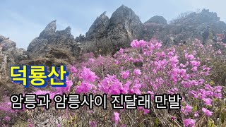 240407 / 덕룡산 / 암릉과 암릉사이 진달래 만발 / 소석문-동봉-서봉-덕룡봉(475봉)-작천소령-주작산자연휴양림 //