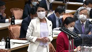 🔴参議院 予算委員会「総括質疑」（2022年05月30日）午前 #国会中継