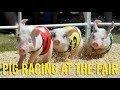 All-Alaskan Racing Pigs take over the fair