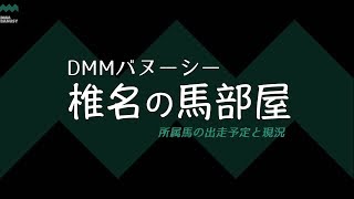 【椎チャンネル】椎名の馬部屋_出走予定と現況