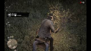 Arthur catches train robbers Red Dead Redemption 2