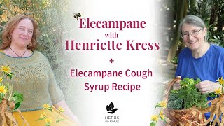 Elecampane with Henriette Kress + Elecampane Cough Syrup Recipe