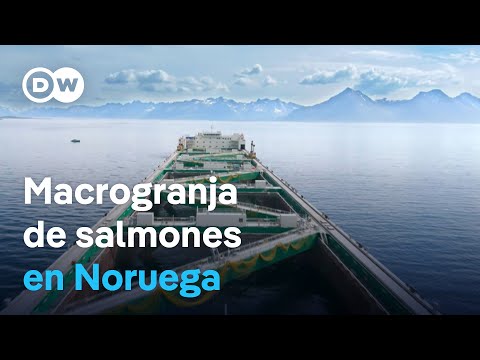 Video La Mayor Granja De Salmones Del Mundo Una Alternativa