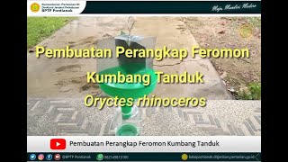 Pembuatan Perangkap Feromon Kumbang Tanduk