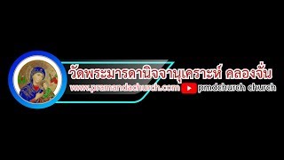 ถ่ายทอดสดพิธีบูชาขอบพระคุณ วันอาทิตย์ที่ 31 พ.ค.2020 สมโภชพระจิตเจ้า รอบสาย