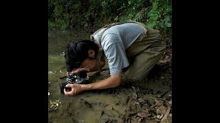 日本自然科学写真協会（SSP）有志展「OM-Dで撮る身近な自然・身近な生き物 2021」作品解説   武田晋一