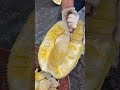 amazing jackfruit core cutting skills fruit cutting skills