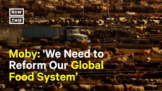 How Animal Agriculture Contributes to Climate Change