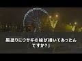 【スカッとする話】資産家の御曹司の結婚挨拶で義家族が放った冷酷な言葉！『親の顔が見たい』と言われた瞬間、父を呼んだ結果！【朗読】【総集編】