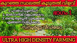 കുറച്ച് സ്ഥലത്തു നിന്ന് കൂടുതൽ വിളവ് ലഭിക്കാൻ അൾട്രാ ഹൈഡെൻസിറ്റി ഫാമിംഗ് രീതി