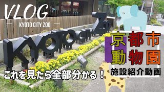 Kyoto City Zoo! Now you know everything! [Vlog] kyoto city zoo