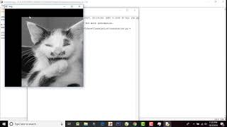 Translation (Image Shift) in OpenCV Python