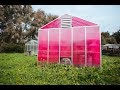 Pink is the new green for smart greenhouses