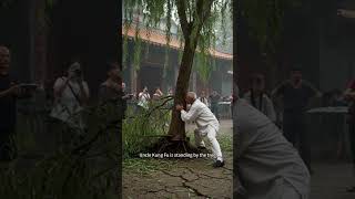 Kung Fu grandpa pulled down the tree in the middle of the road.#kungfu