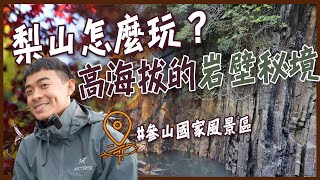 梨山怎麼玩？尋找高海拔的岩壁秘境與百年茶廠！櫻花鉤吻鮭、合歡溪步道、搜鹿林道、梨山蜜蘋果