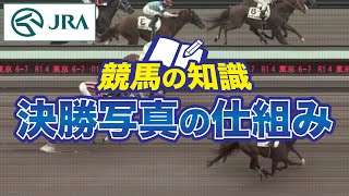 【競馬の知識】決勝写真の仕組み | JRA公式