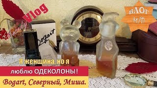 Beauty влог: Я женщина, но я люблю одеколоны! Bogart, Северный и Миша.