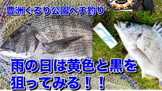 [ヘチ釣り]　雨の日は銀色の魚を狙う！豊洲ぐるり公園ヘチ釣り