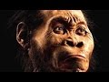 New species of human ancestor discovered in South Africa