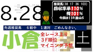 8月28日土曜日　小倉競馬場　上り3F順位データ　釜山S 2021(新馬戦　障害戦除く)