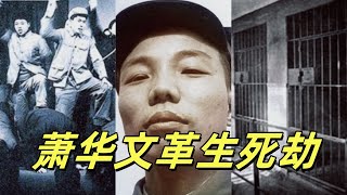 文化大革命107，萧华文革生死劫，谁做了搞掉萧华的局，杨成武和萧华之间的仇恨，萧华关键时刻因为管不住下半身送了自己一程，干掉萧华的临门一脚是谁踢得？#文化大革命 #文革 #中共 #毛泽东 #解放军