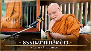 ธรรมะจากเมล็ดข้าว : 17 มิ.ย. 65 เช้า ณ สวนแสงธรรม | หลวงพ่ออินทร์ถวาย สันตุสสโก